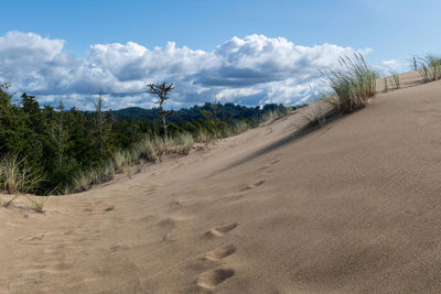 Deserted sand dunes in oregon with blue sky