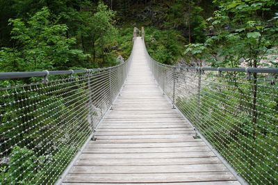 View of footbridge in forest