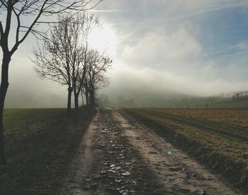 Road passing through field