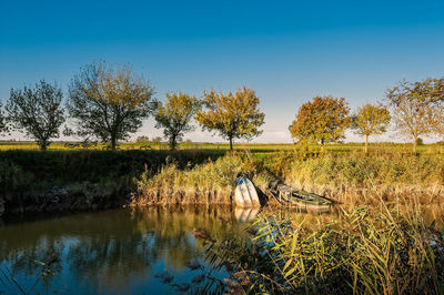 Scenic view of lake by trees on field against clear sky