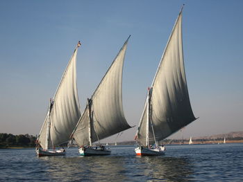 Sailboats sailing in sea against clear sky