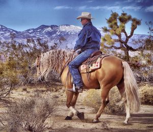 Full length of man riding horse