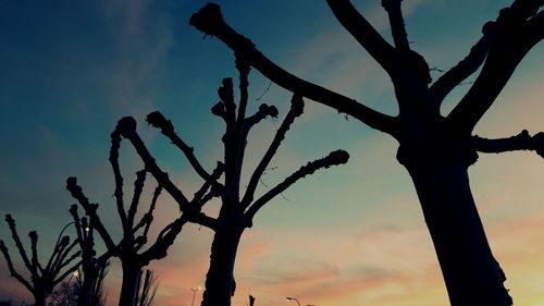 Low angle view of silhouette bare tree against sky during sunset