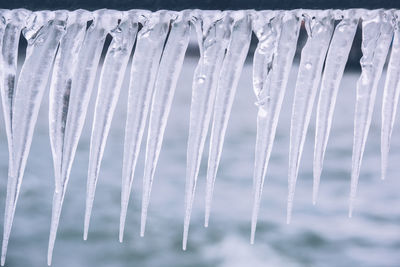 Close-up of icicles