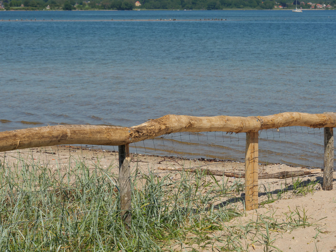 WOODEN POSTS ON LAKESHORE