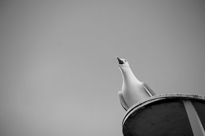 Low angle view of seagull perching against clear sky