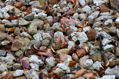 Full frame shot of stones