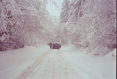 Snow covered road amidst trees against sky