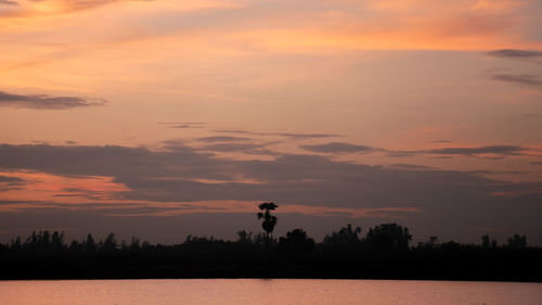 Scenic view of silhouette trees against sky during sunset