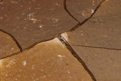 High angle view of water on floor