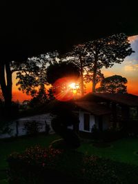 Silhouette trees against sky at night