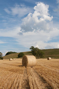 Hay bales on field against sky