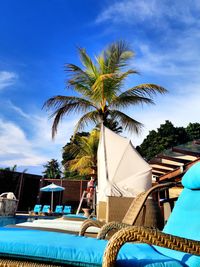 Palm tree by swimming pool against sky