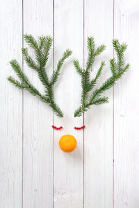 Directly above shot of orange fruit on table