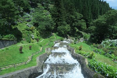 Scenic view of waterfall in forest