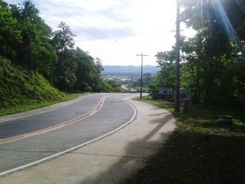 Empty road along trees