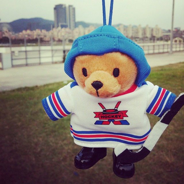 Hockeybear