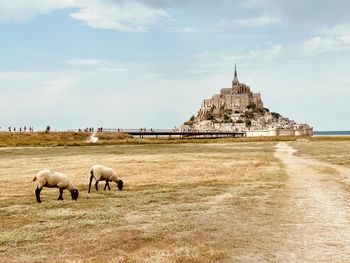 Horses grazing on field against sky