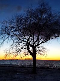 Silhouette bare tree on beach against sky at sunset