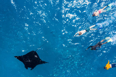 High angle vie of manta ray and people swimming in sea