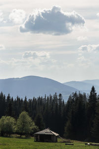 Scenic view of trees and houses against sky