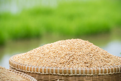 Close-up of seeds in wicker basket