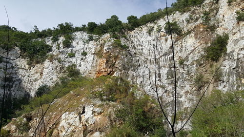 Scenic view of rock formation amidst trees