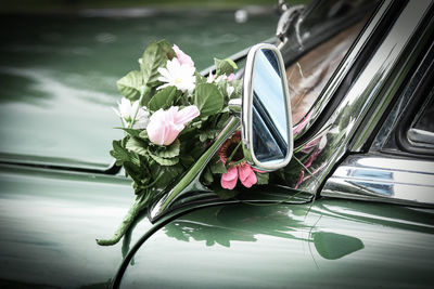 Close-up of flowering plant by car during rainy season