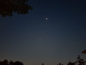 Low angle view of silhouette trees against clear sky at night