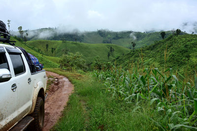 Scenic view of landscape against sky