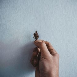 Cropped hand holding marijuana leaf against wall