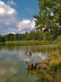 Scenic view of lake by trees against sky