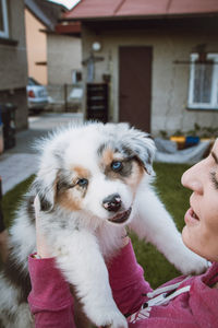 Girl holds smiling australian shepherd puppy. love and relationship between female dog and female
