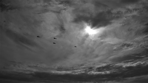 Low angle view of birds flying in sky