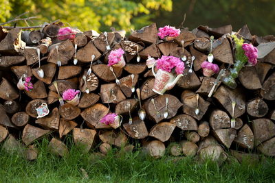 Stack of pink flowering plants on field
