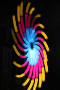 Close-up of multi colored flower against black background