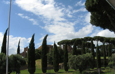 Panoramic view of trees against sky