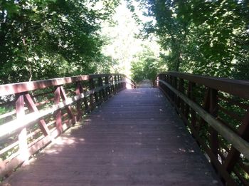 Footbridge over wooden walkway