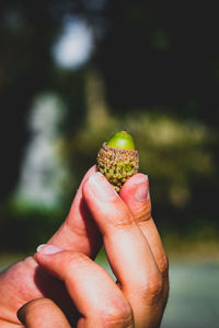 Close-up of hand holding leaf