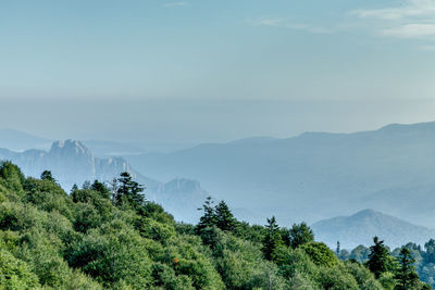 Scenic view of trees and mountains against sky