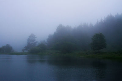 Scenic view of lake in forest against sky