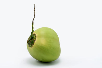 Close-up of green fruit against white background