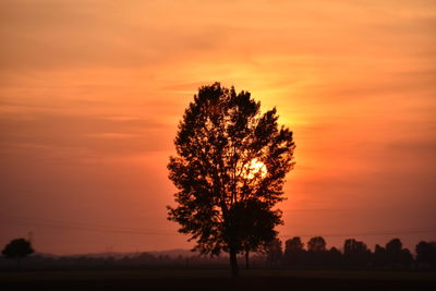 Silhouette tree on field against orange sky