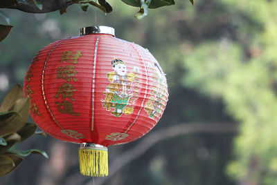 Close-up of red lantern hanging against blurred background