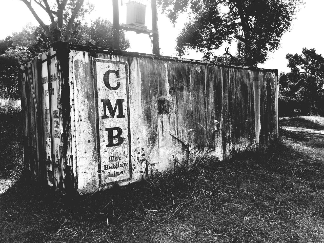 text, communication, abandoned, no people, day, tree, outdoors