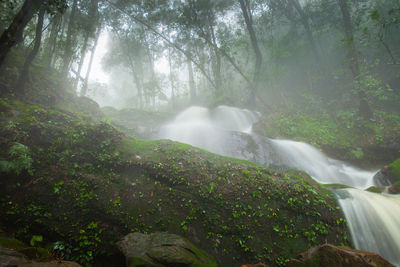 Scenic view of waterfall in forest