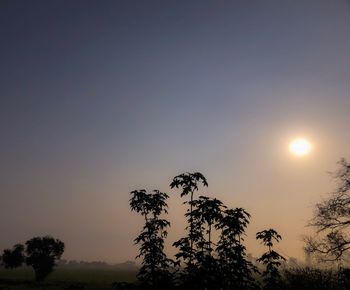 Low angle view of silhouette trees against sky during sunset