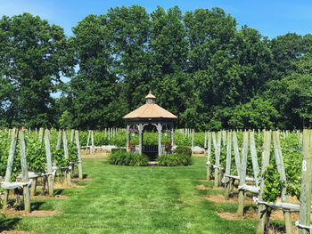 Gazebo amidst trees on field