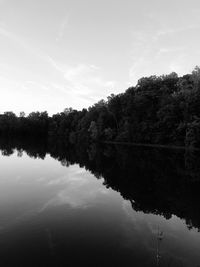 Reflection of trees in calm lake