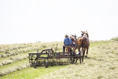 Man riding horse cart on field